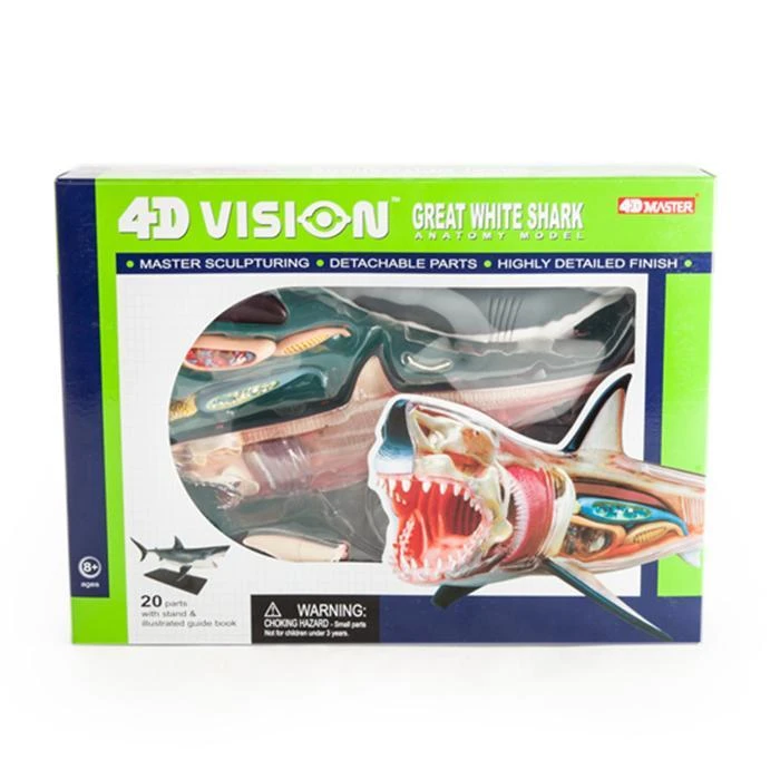Mdi Science STEM Toys Great White Shark 4D Anatomy Model 11 Mdi Science STEM Toys Great White Shark 4D Anatomy Model