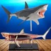 Mdi Science STEM Toys Great White Shark 4D Anatomy Model