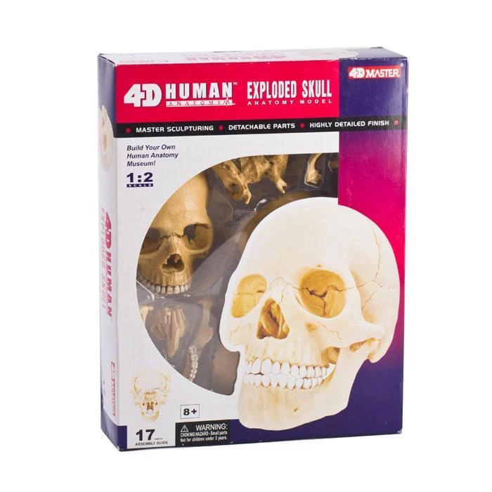 Mdi Human Skull Anatomy Model Puzzle | 4D Science STEM Toys 3 Mdi Human Skull Anatomy Model Puzzle | 4D Science STEM Toys