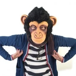 Mdi Dinosaurs Fancy Dress Costume Party Masks - 9 Styles!