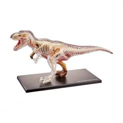 Mdi T-Rex 4D Anatomy Model Science STEM Toys