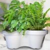 Annabel Trends White Triple Planter