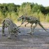 IsAlbi Science STEM Toys T-Rex & Triceratops Dinosaur Excavation Set 2 IsAlbi Science STEM Toys T-Rex & Triceratops Dinosaur Excavation Set