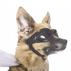 ThumbsUp! Mens Novelty Gifts 'Ride With' Novelty Car Window Decals