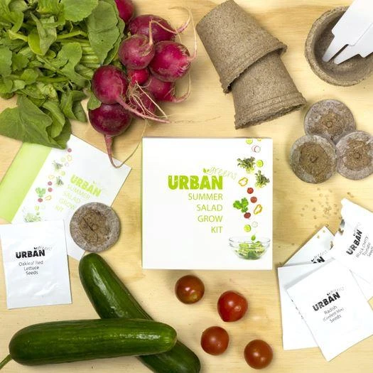 Steady Sticks Summer Salad Grow Kit 3 Steady Sticks Summer Salad Grow Kit