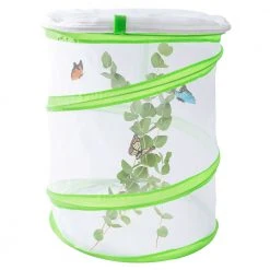 IsAlbi Butterfly Study Set