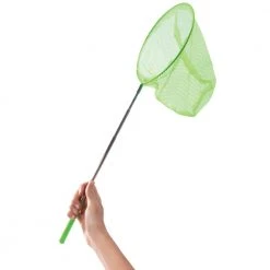 IsAlbi Butterfly Study Set