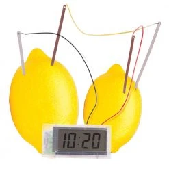 IsAlbi Gifts For Boys Green Power STEM Kit | 2 Experiments