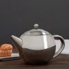 IsAlbi Stainless Steel Teapot With Infuser