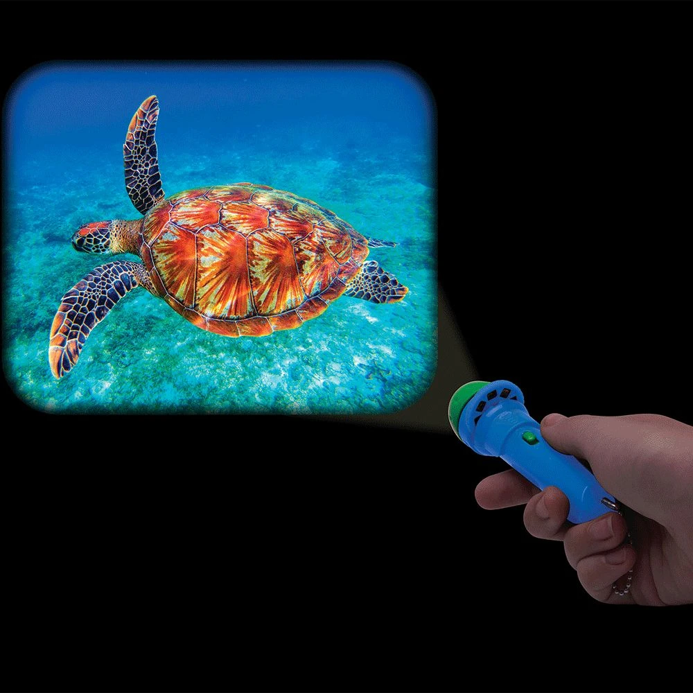 IsAlbi Torch Projector | 7 Themes To Choose From! 7 IsAlbi Torch Projector | 7 Themes To Choose From!