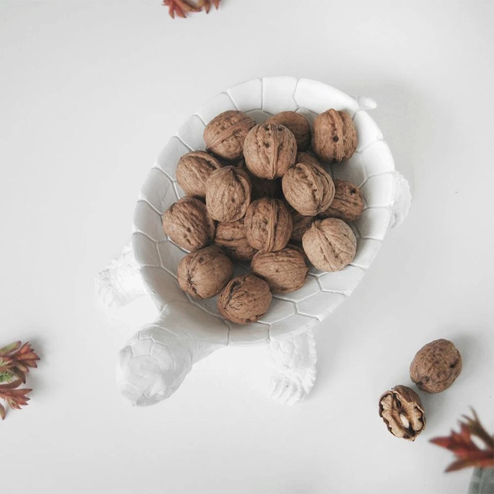 White Turtle Bowl | White Moose Gifts For Sisters 5 White Turtle Bowl | White Moose Gifts For Sisters