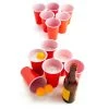 Mdi Beer Pong