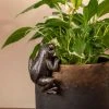 Jasnor Bronze Pot Buddies Frog Gifts For Grandmas 2 Jasnor Bronze Pot Buddies Frog Gifts For Grandmas