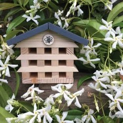 IsAlbi Miniature Products Build A Bee Hotel Kit