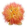Heebiejeebies Gifts For Girls Sun Plush Toy | Celestial Buddies