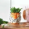 Ceramic Tiger Planter Pot | White Moose Gifts For Sisters