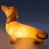 Mdi Gifts For BFFs Dachshund Table Lamp