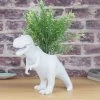 William Valentine T-Rex Ceramic Dinosaur Planter Pot Mens Novelty Gifts