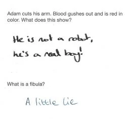 Brumby Sunstate F In Exams  Paperback Book Fun Books