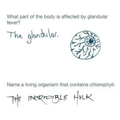 Brumby Sunstate F In Exams  Paperback Book Fun Books