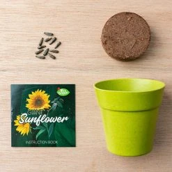 Heebiejeebies Giant Sunflower Growing Kit Giant Products