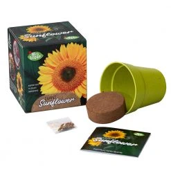 Heebiejeebies Giant Sunflower Growing Kit Giant Products