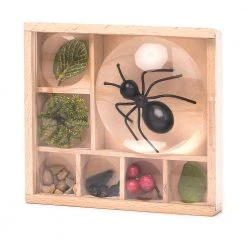 IsAlbi Great Outdoors Bug Box Magnifying Display