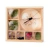 IsAlbi Great Outdoors Bug Box Magnifying Display