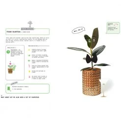 Brumby Sunstate Gifts For Sisters Grow Your Own Pet Plants Book