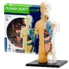 Science & Nature Human Body Anatomy Model Kit Science STEM Toys