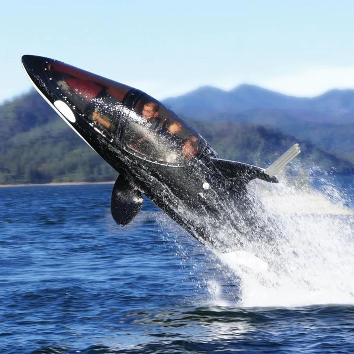 WTF Killer Whale Submarine Everything 4 WTF Killer Whale Submarine Everything