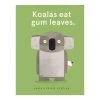 Brumby Sunstate Koalas Eat Gum Leaves Book Baby Shower Gifts