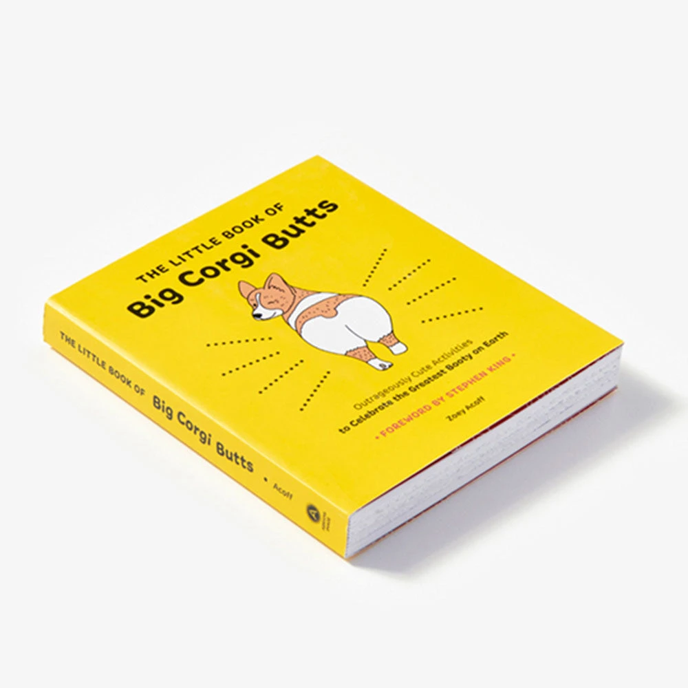 Brumby Sunstate Little Book Of Big Corgi Butts Activity Book 8 Brumby Sunstate Little Book Of Big Corgi Butts Activity Book