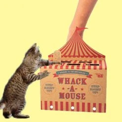 William Valentine Make Your Own Whack-a-Mouse Cat Toy Gifts For Sisters