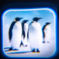 Mdi Sea Animal Torch Projector Gifts For Boys