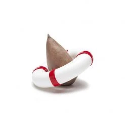 Optoco Seed Guard - Grow Your Own Avocados!