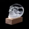 IsAlbi Man Cave Gifts Skull Storm Glass Weather Station