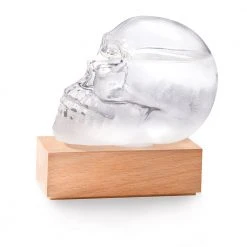 IsAlbi Man Cave Gifts Skull Storm Glass Weather Station