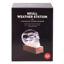 IsAlbi Man Cave Gifts Skull Storm Glass Weather Station