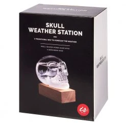 IsAlbi Man Cave Gifts Skull Storm Glass Weather Station