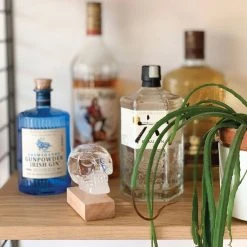 IsAlbi Man Cave Gifts Skull Storm Glass Weather Station