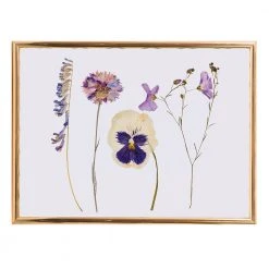 IsAlbi Science STEM Toys Pressed Flower Craft Kit 10 IsAlbi Science STEM Toys Pressed Flower Craft Kit