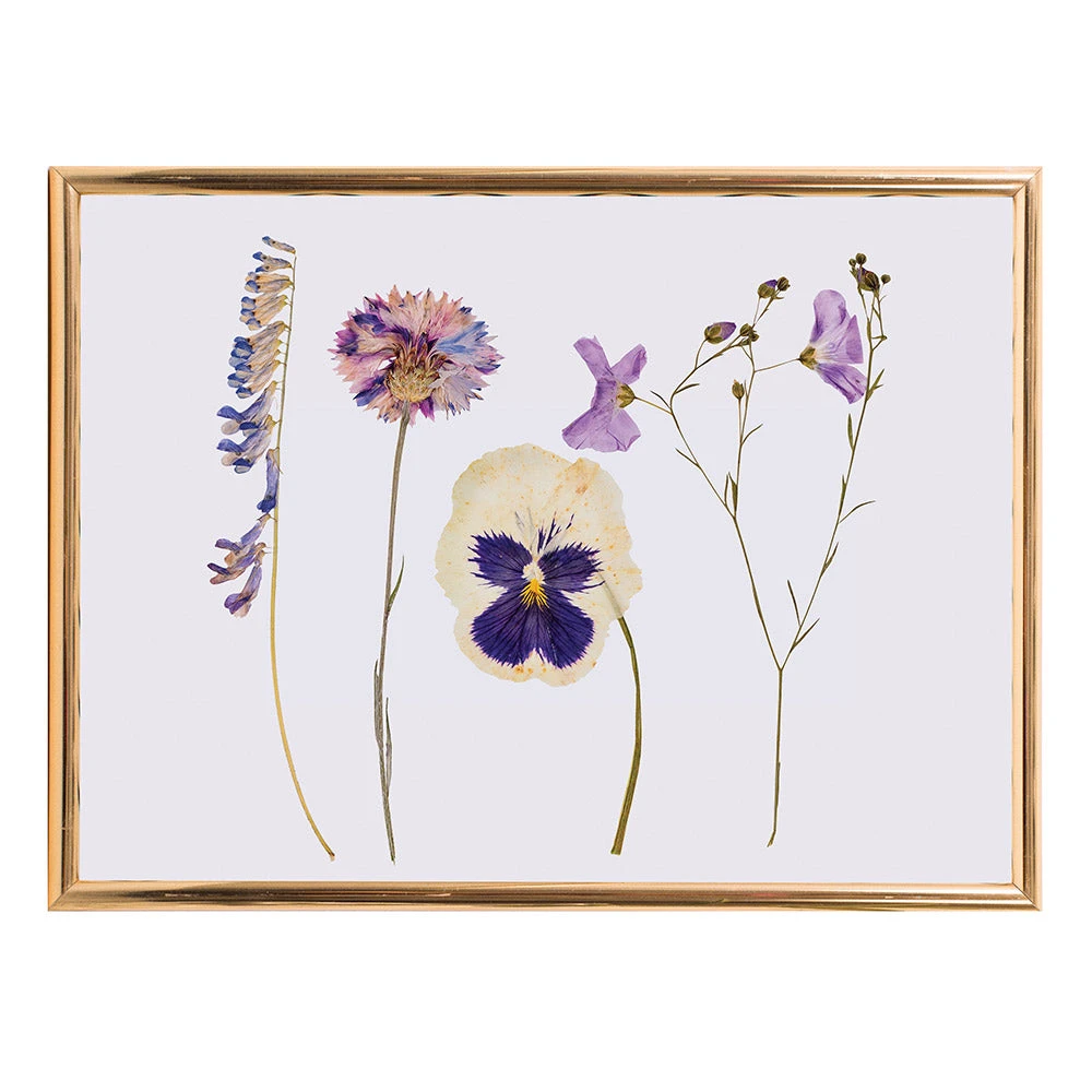 IsAlbi Science STEM Toys Pressed Flower Craft Kit 5 IsAlbi Science STEM Toys Pressed Flower Craft Kit