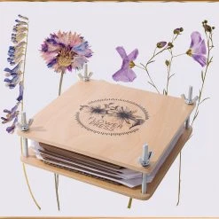 IsAlbi Science STEM Toys Pressed Flower Craft Kit