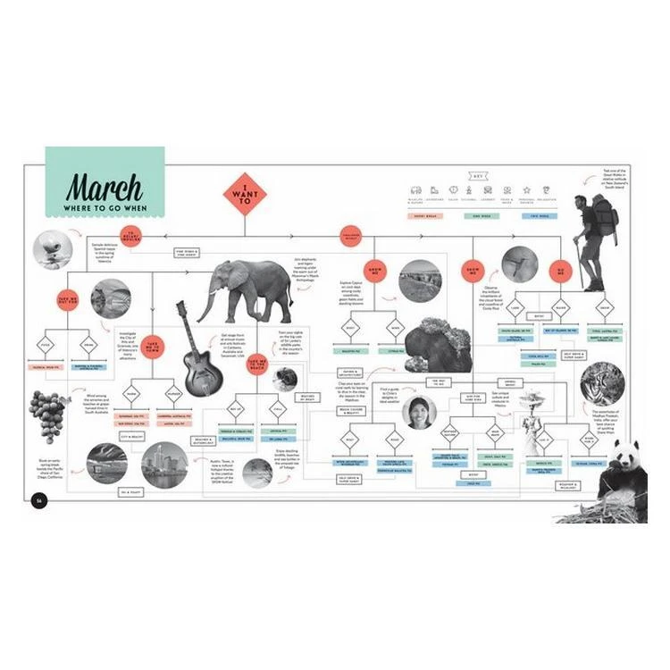 Brumby Sunstate Lonely Planet Where To Go When Travel Book Travel Gifts 4 Brumby Sunstate Lonely Planet Where To Go When Travel Book Travel Gifts